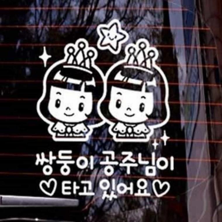 자동차스티커 차량용스티커 차량스티커 자동차시트지