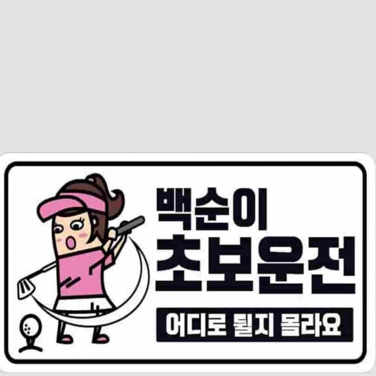 야광스티커 백순이 초보운전 초보운전문구 야간반사스티커 고휘도스티커 차량용스티커 초보운전스티커