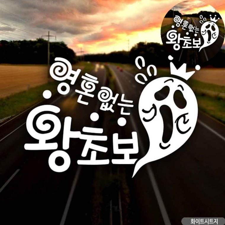 카스티커 왕초보스티커 차량용스티커 자동차뒷유리스티커 자동차용스티커 자동차스티커