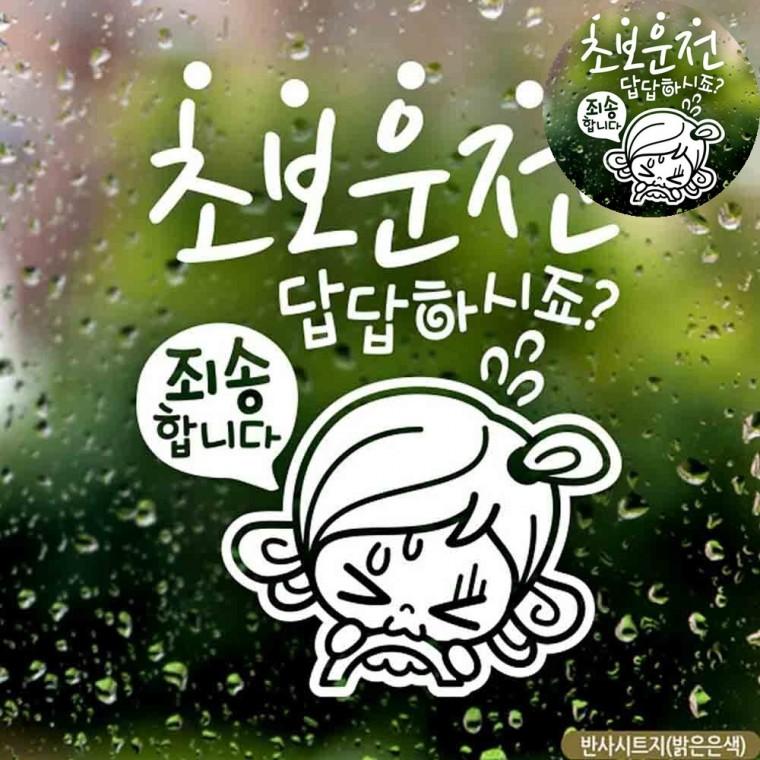 자동차야광스티커 자동차뒷유리스티커 빛반사스티커 차량용스티커 자동차반사스티커 자동차스티커