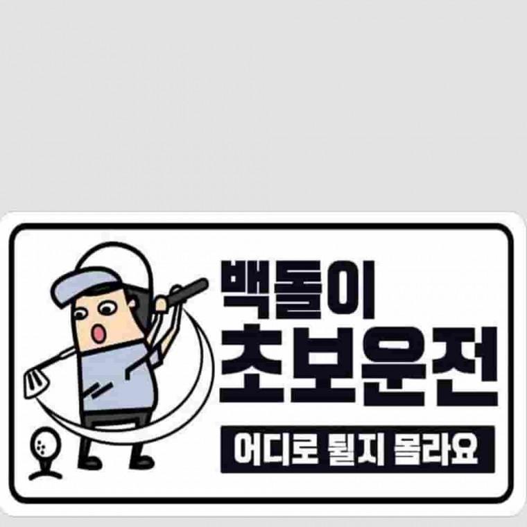 야광스티커 백돌이 초보운전 왕초보운전 차량용스티커 운전초보스티커 귀여운초보운전스티커 초보스티커