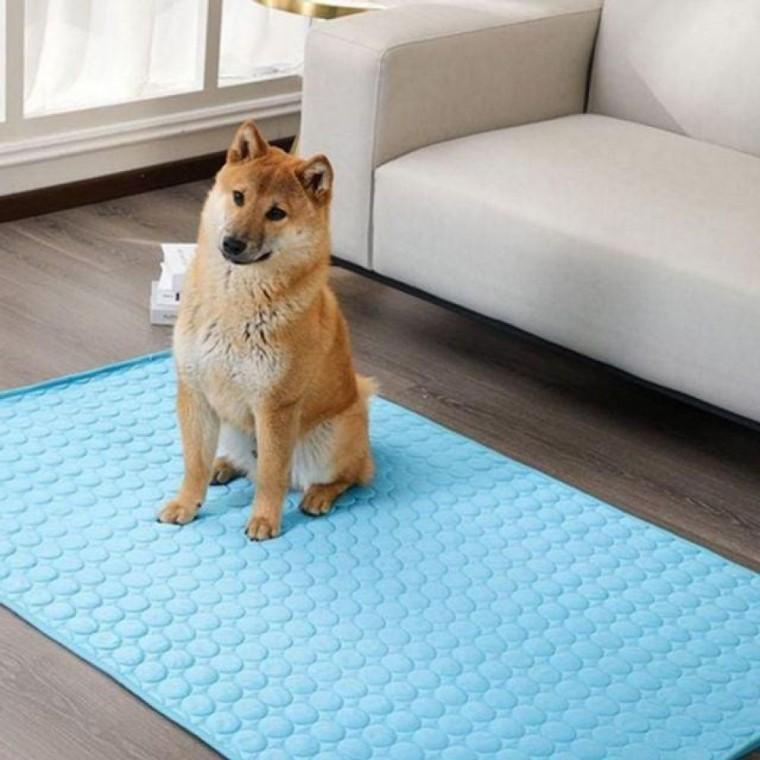 여름 강아지 쿨 매트 애묘 고양이 쿨 매트 반려동물 통기성 강아지 애견 반려동물 고양이 쿨매트 냉매트