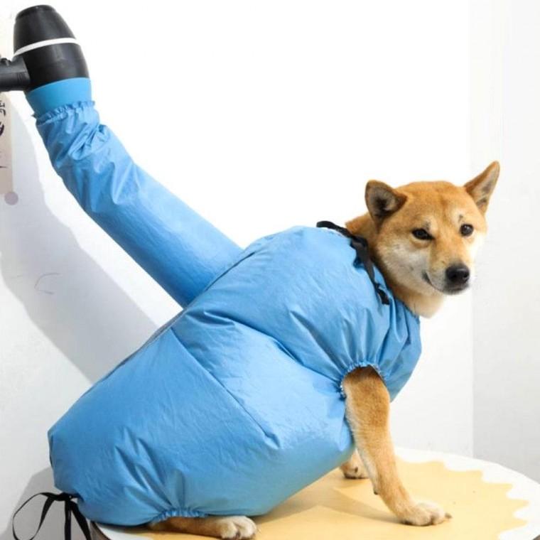 애견 드라이어복 강아지 건조복 드라이룸 목욕타올 반려견 드라이타월