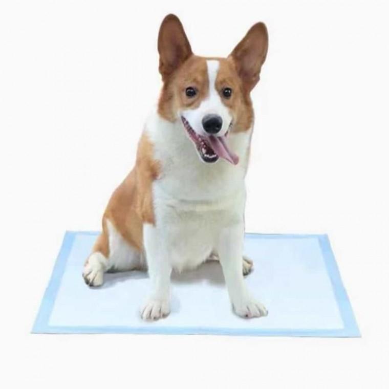 강아지 배변패드 애견배변패드 강아지배변패드