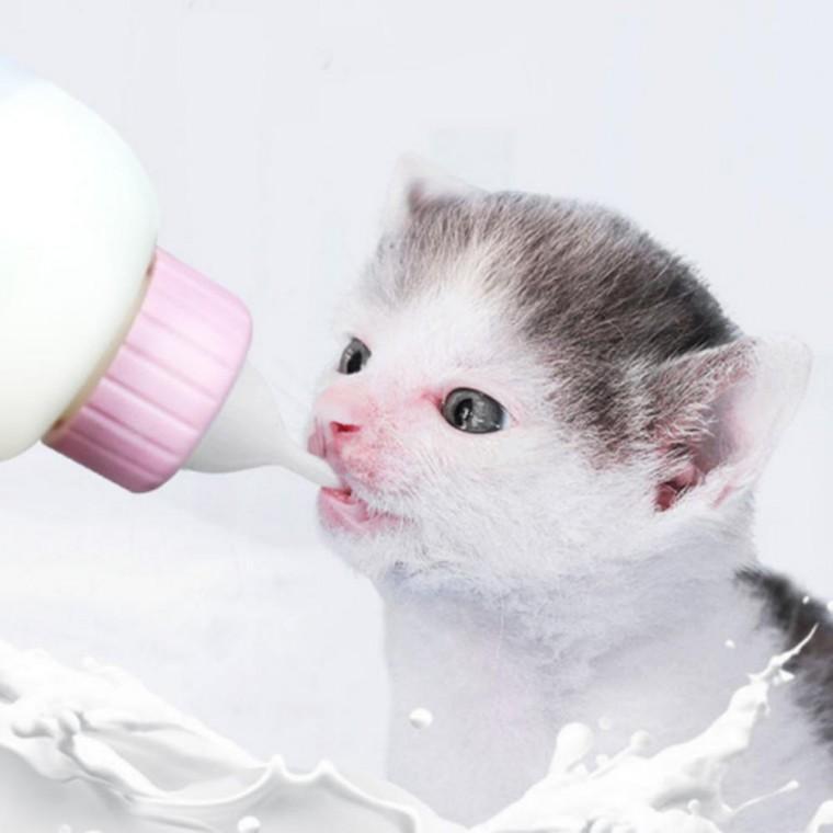 반려동물 젖병 세트 강아지 고양이 80-100ml