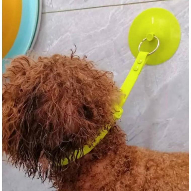 고정벨트 반려동물 목욕 목욕벨트 고양이 강아지 애견 흡착
