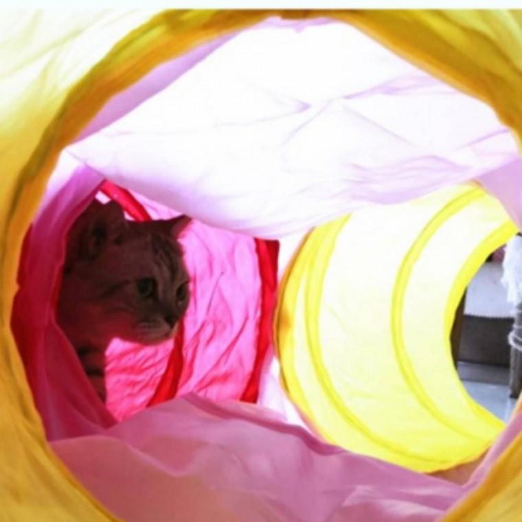 강아지 반려동물 캣 장난감 터널 5방향 놀이터 쉼터 고양이