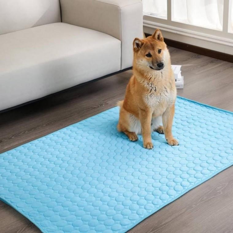 강아지 쿨매트 반려견 냉감 패드 펫 고양이 쿨링