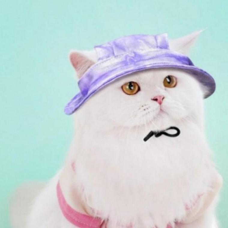 버킷햇 모자 고양이 강아지 산책 야외 자외선차단
