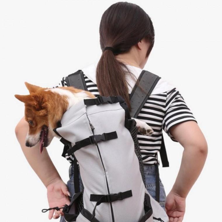 강아지 외출 배낭 S 이동가방 백팩 산책가방 포대기