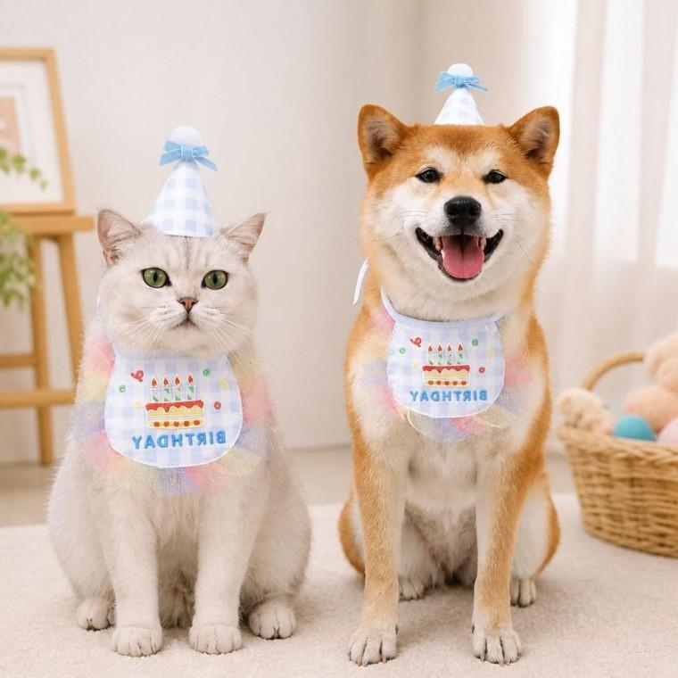 강아지 고양이 생일파티 용품 애완동물 기념일 소품 고깔모자