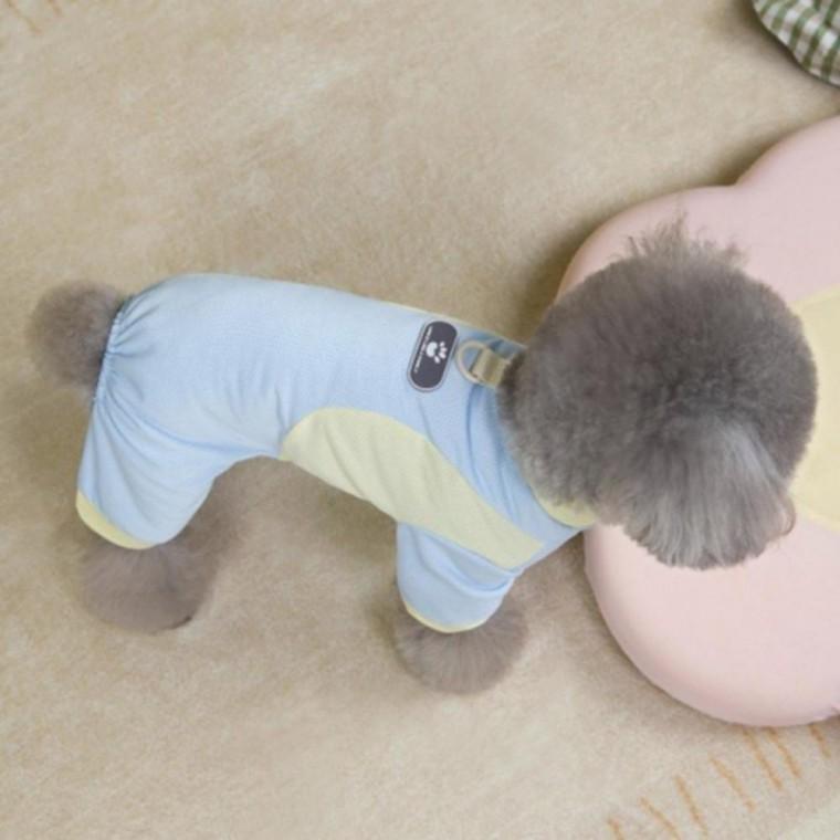 강아지 여름 옷 산책 외출 메쉬 데일리 귀여운