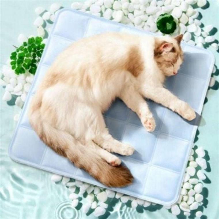 시원 반려동물 쿨 매트 고양이 강아지 쿨 매트 여름 PVC 방석 양면쿨 고양이 여름 매트