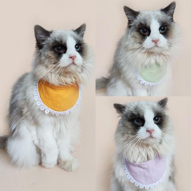 애견 애묘 턱받이 케이프 고양이 강아지 의류