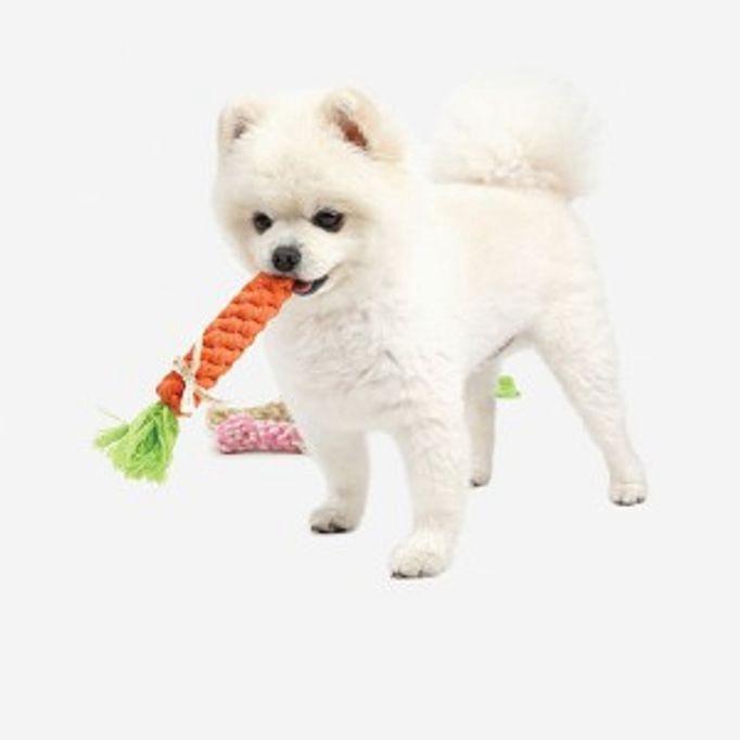 강아지 장난감 당근 인형 놀이 애견 치실 토이 미디움