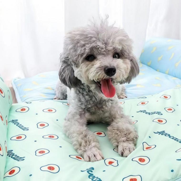 방석 고양이 쿨매트 강아지 애견 여름 애견용품 애완동물 쿨매트 방석 실내