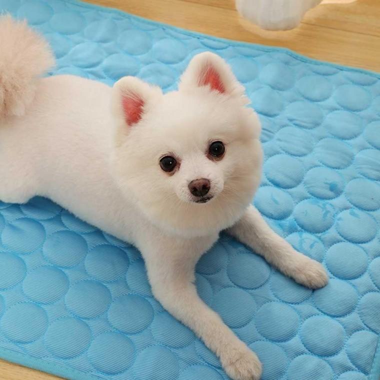 반려견 여름 시원한 아이스 쿨링 실내 산책 외출 매트