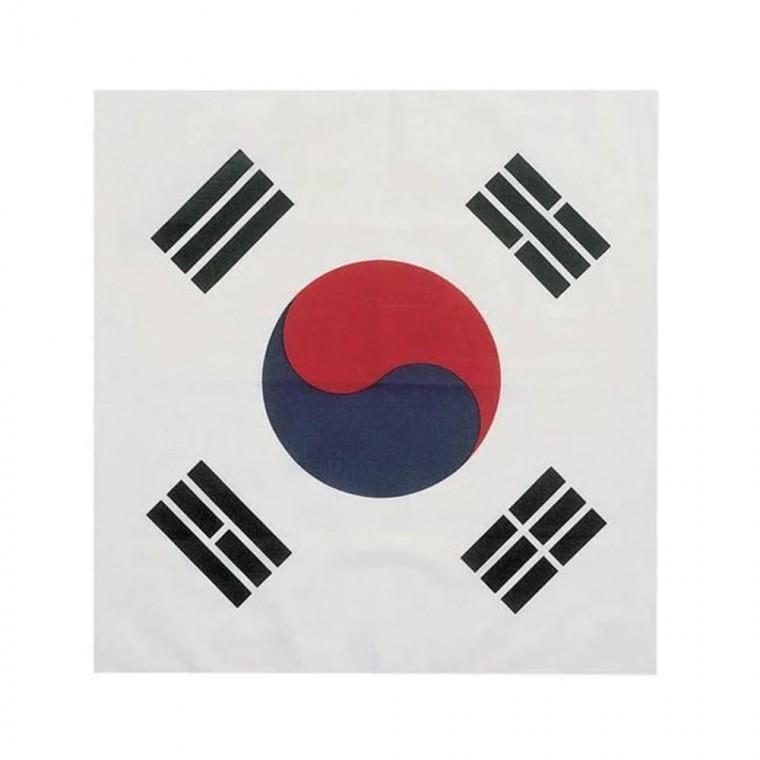 루미나D 손수건 태극기 스카프 응원용