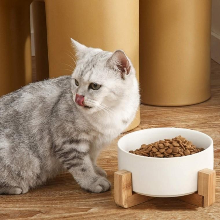 반려동물 우드받침 도자기식기(16cm) (화이트) 강아지도자기식기 고양이도자기식기 강아지밥그릇