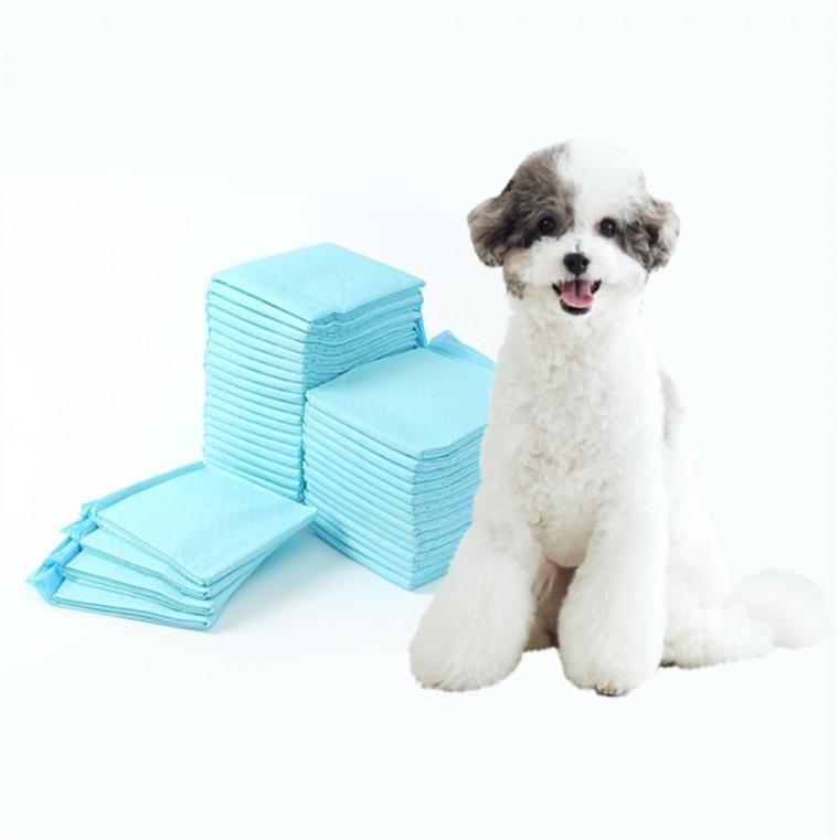 배변패드 40매 실속형 60x60cm 소형견배변패드 강아지애견패드 강아지배변패드대형