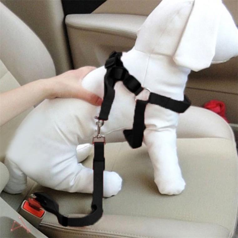 반려동물 안전벨트 강아지차량용카시트 반려견안전벨트