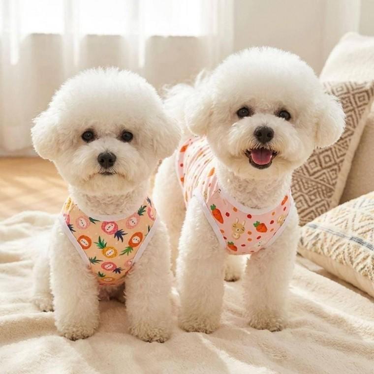 티셔츠 강아지 민소매 쿨링 여름 애견 의류 고양이 반려동물 옷