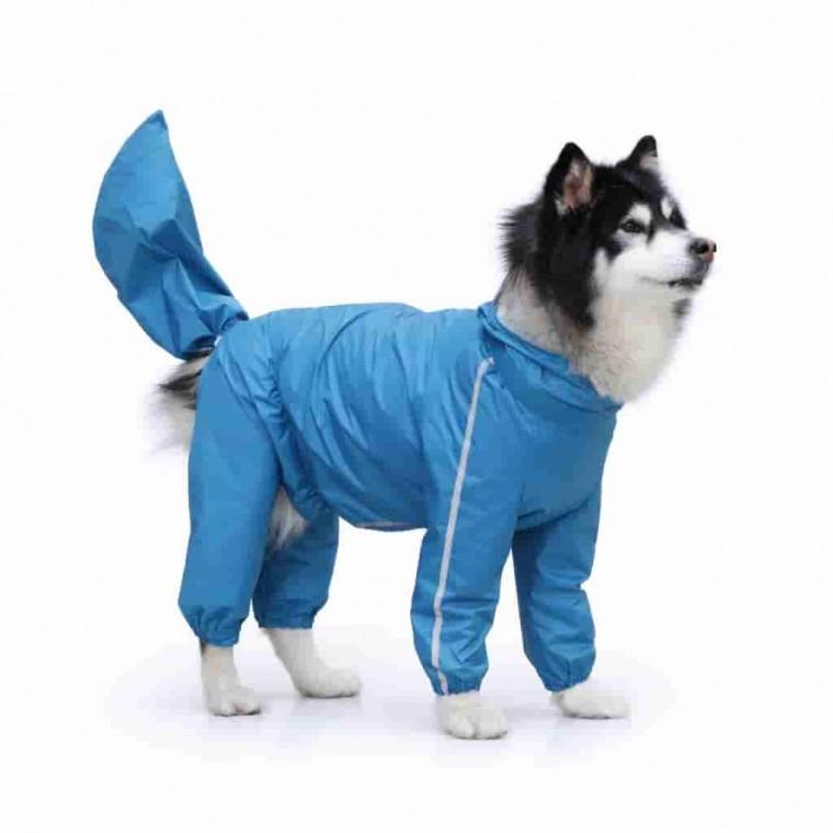 대형견 바람막이 레인코트 10XL 강아지레인코트 강아지방수옷