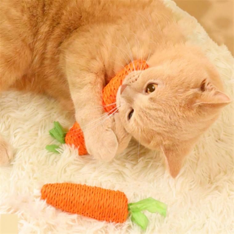 강아지 고양이 이갈이 장난감 애견장난감 고양이이갈이장난감 강아지인형