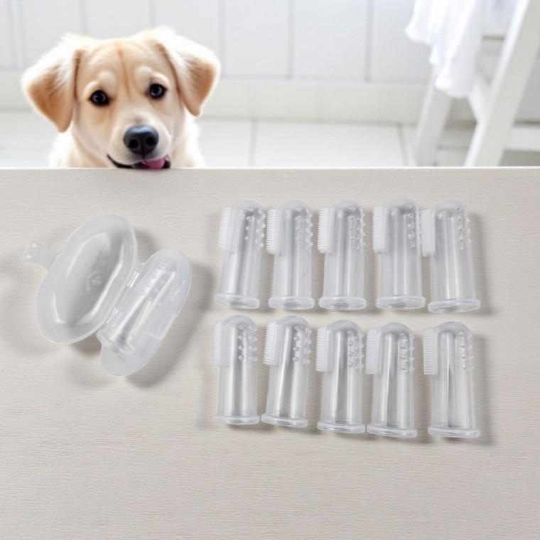 치석제거 고양이 구강케어 구강관리 반려동물 애견 강아지 손가락 칫솔
