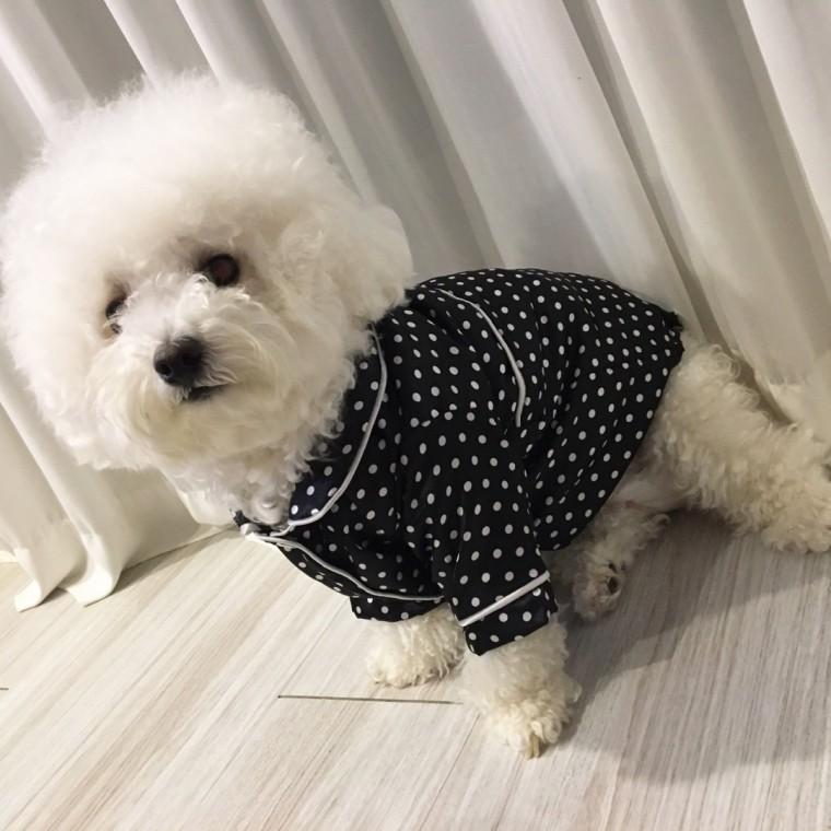추천 깔끔한 소프트 강아지옷 땡땡이 파자마 잠옷