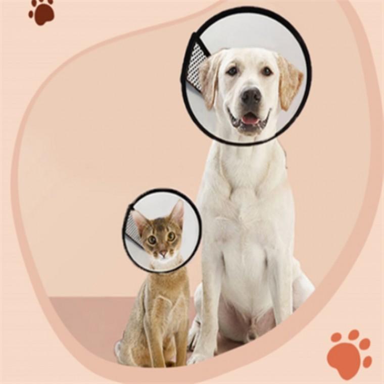강아지 고양이 목 보호대 넥카라 강아지꼬깔 강아지목카라 대형견넥카라