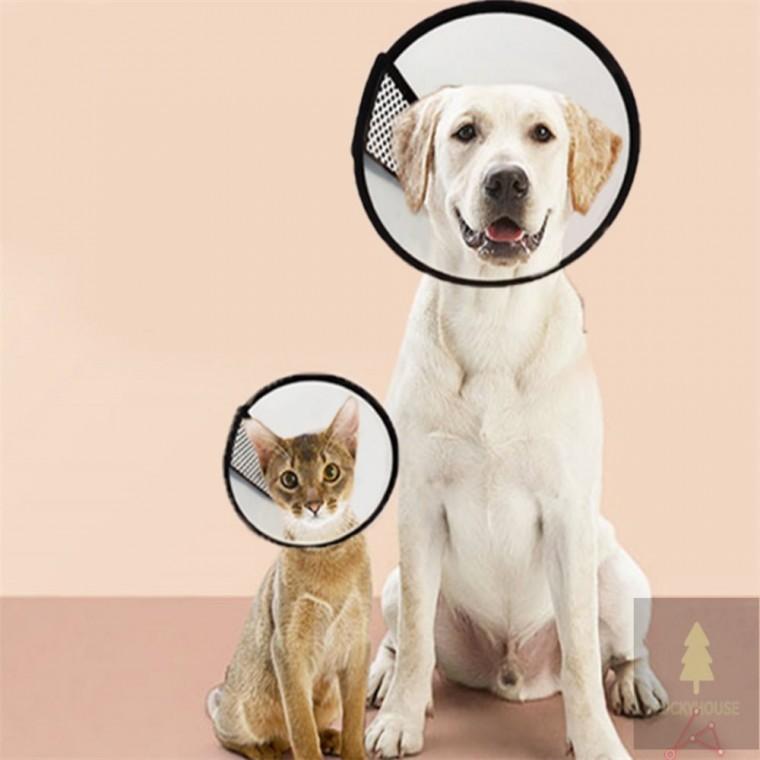 강아지 고양이 넥카라 소형견넥카라 강아지넥카라초경량 강아지깔대기넥카라3호