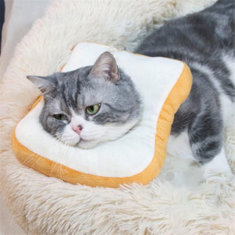 넥카라 강아지목보호대 목칼라 반려견넥카라
