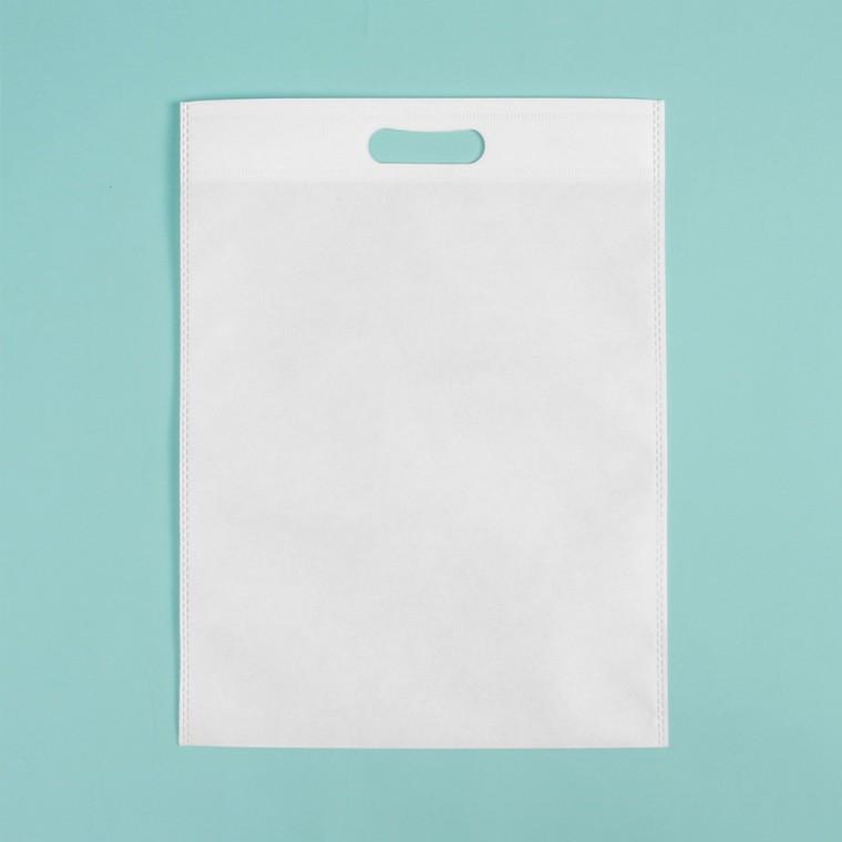 PL 실속 가방 컬러 부직포 가방 10p세트(35x45cm) (화이트) No15