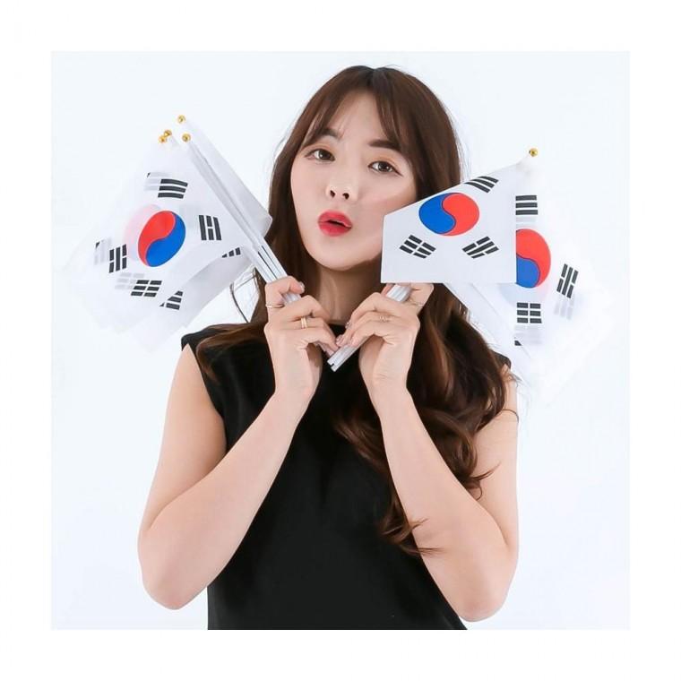 루미나D 수기 일체형 태극기 미니 10개 응원 운동경기 체육