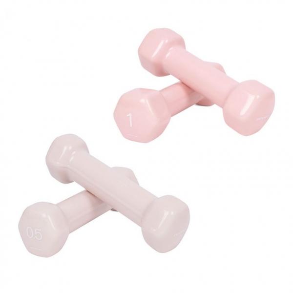 아이워너 PVC 뷰티 육각 덤벨 0.5kg 1kg