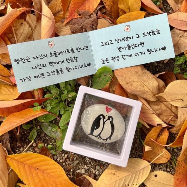 펭귄 조약돌 커플 편지 기념일 생일 선물 편지지 [남자친구 여자친구 100일 이벤트 웃긴 신박한 특이한]