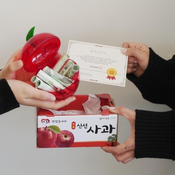 진짜 사과 돈 용돈 이벤트 박스 상자 [시즌3 현금 부모님 어버이날 생일 생신 선물 환갑 칠순 서프라이즈]