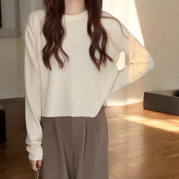 베르 여성 라운드넥 크롭 니트 6color 데일리 얇은니트 봄 가을