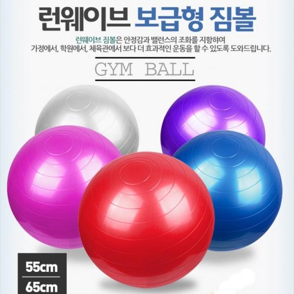 [DY커머스]런웨이브 짐볼 펌프포함 벌크 55cm-65cm