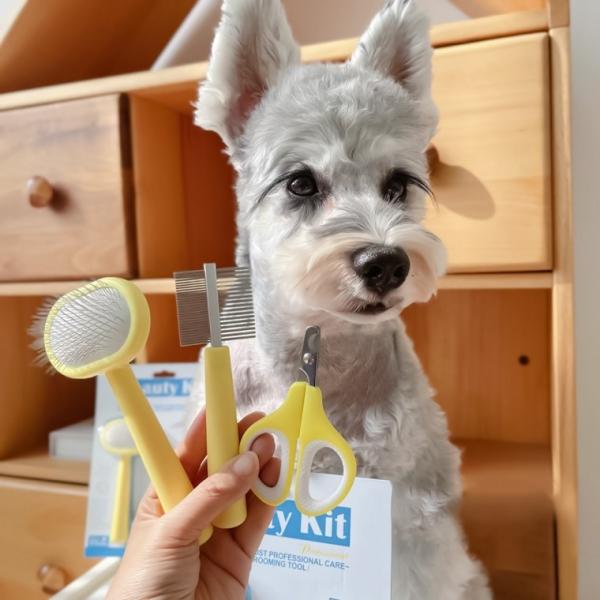 펫스런 반려동물 미용도구 3종 강아지 고양이 브러쉬