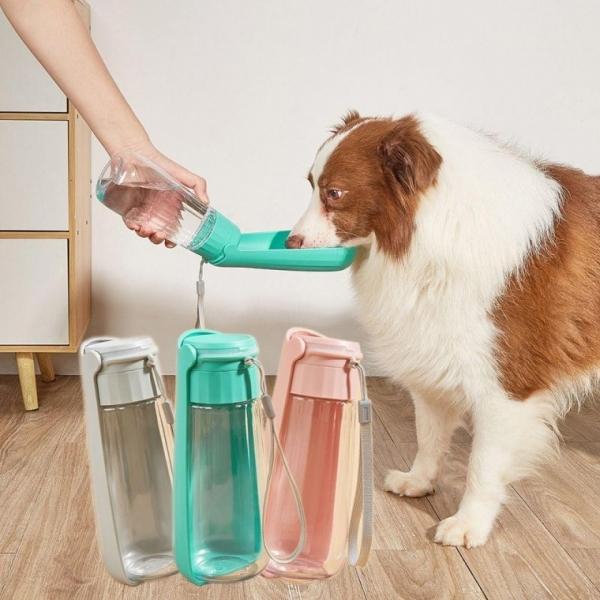 애견 강아지 휴대용 물통 물병 산책 접이식 550ml 급수대 댕댕이텀블러 물통 용 강아지 휴대용 식수
