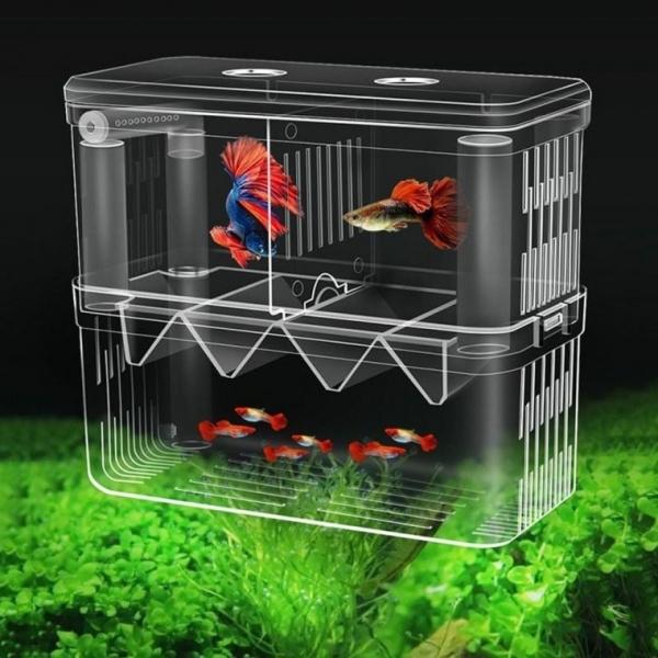 구피 열대어 부화통 번식함 격리통 치어통 대형 2칸 사육 산란 어항 격리 다기능 보호 구피 분리막