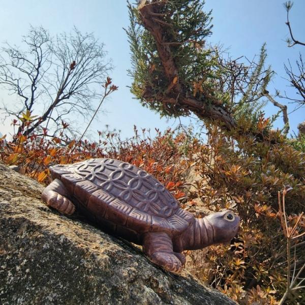 생기 도자기 재물운 돈거북 26cm 개업선물 수맥차단 무병장수