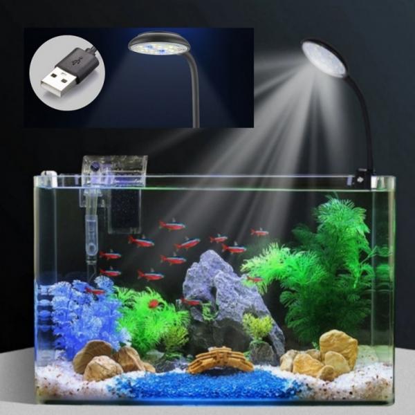 테라리움 만들기 조명 거북이 금붕어 열대어 구피 파충류 키우기 미니 어항 수족관 식물 AA0061