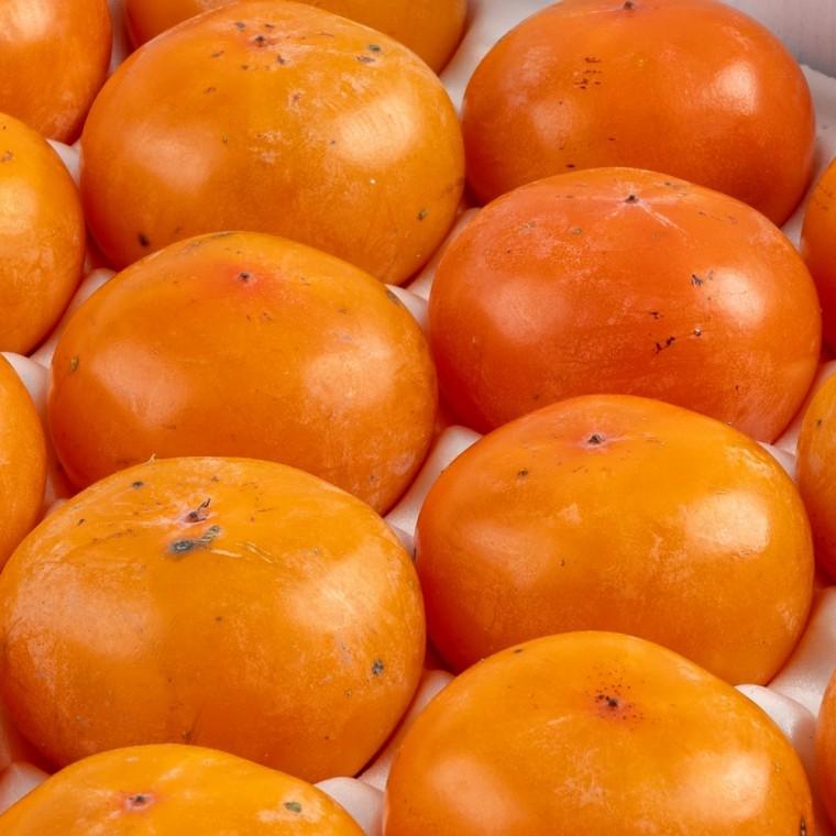 청도반시 2.5kg 소과