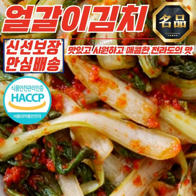 국내산재료 전라도 얼갈이김치 3kg 신선 배추 생김치 맛깔난 양념