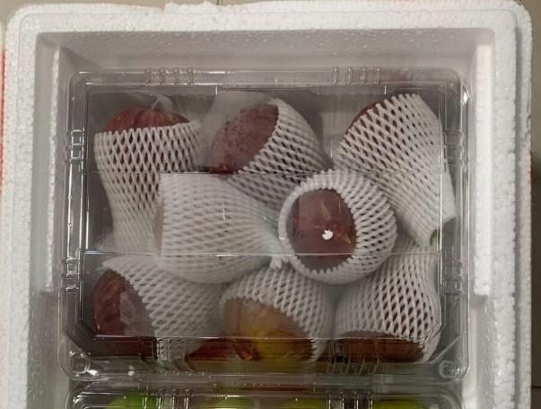 영암함평 오독오독식감 홍무화과 500g