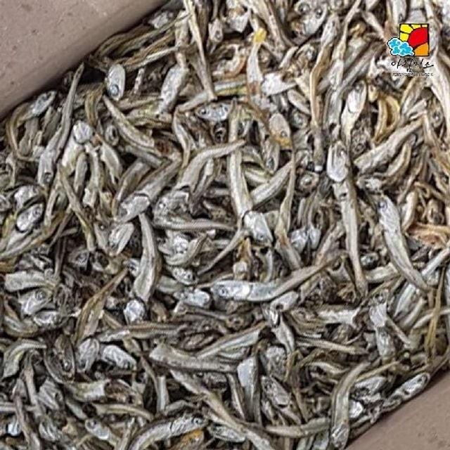 아침미소 고바멸치 중 1.5kg 다시멸치 볶음용멸치 국물멸치