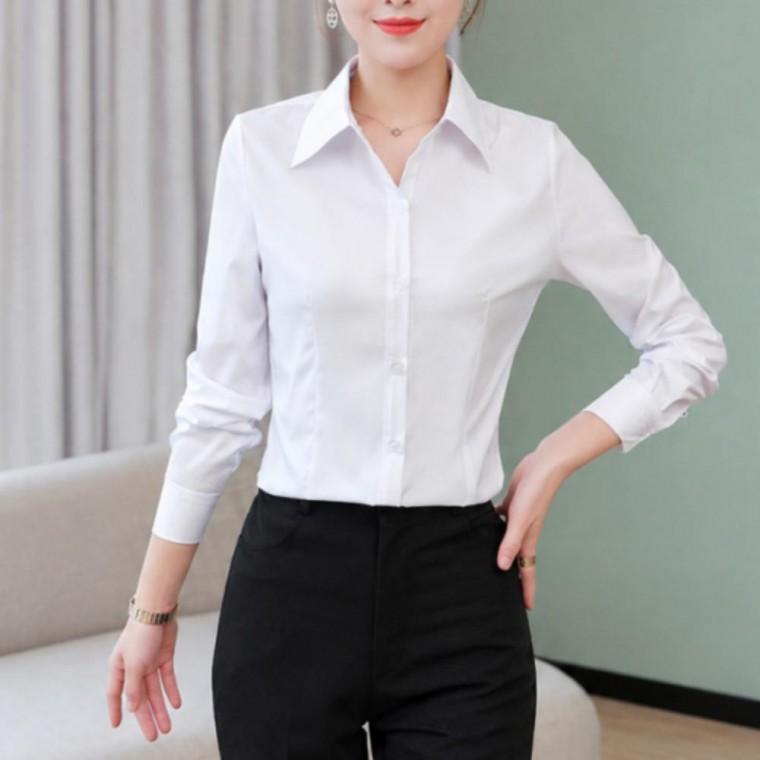 슬림핏 2컬러 블라우스 여성 실루엣 오피스룩 셔츠 깔끔한